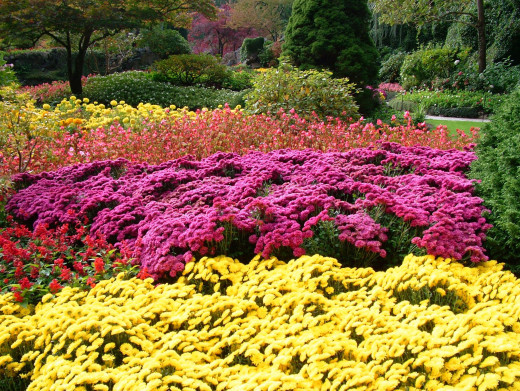 435523 (a): :2400x1803